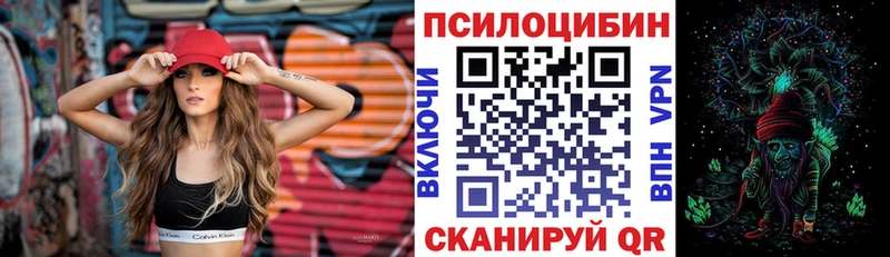 Псилоцибиновые грибы прущие грибы  Катав-Ивановск 